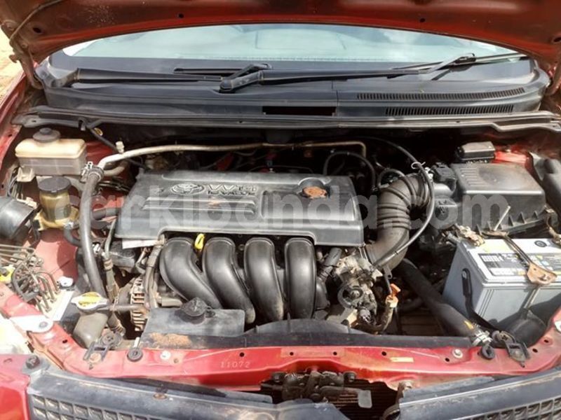 Big with watermark 52364155 2193135204338377 6433080893023191040 n