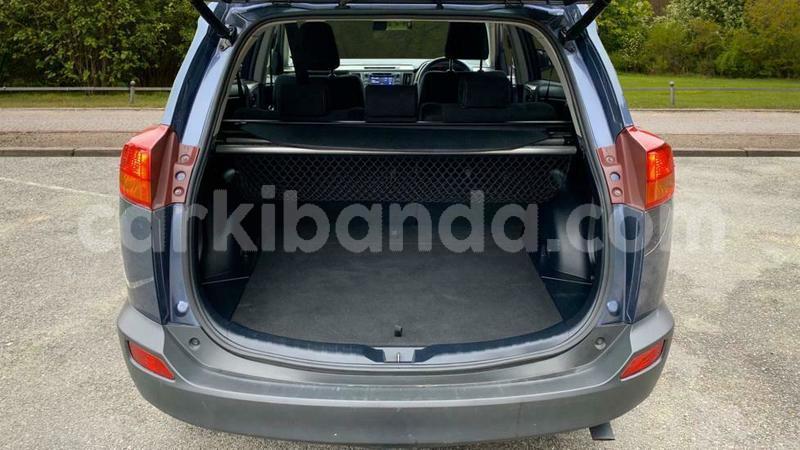 Big with watermark c8