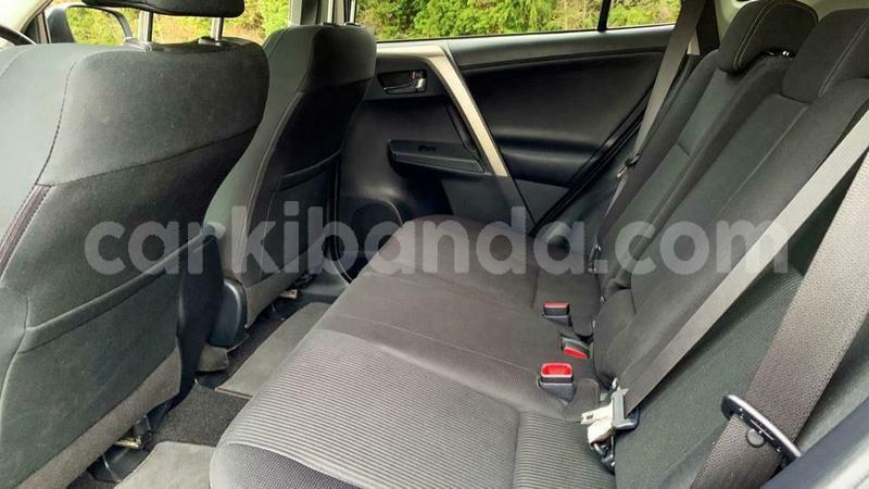 Big with watermark c10