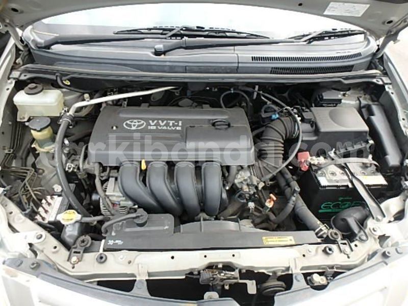 Big with watermark 06