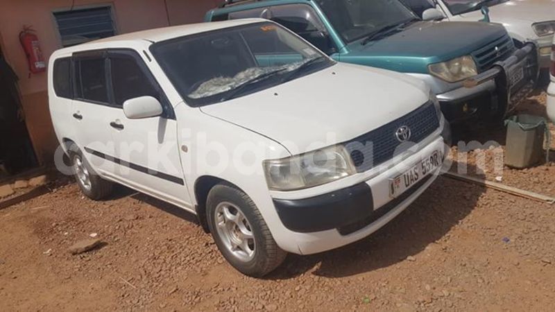 Big with watermark 53753619 413735929391585 4682514766487355392 n