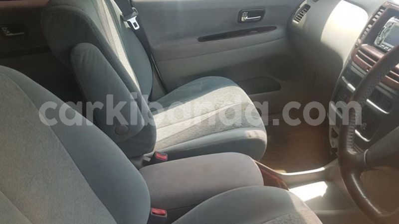 Big with watermark 53540947 413282926103552 4309581609419407360 n