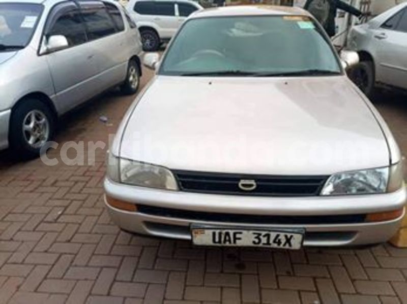 Big with watermark 53845624 412588382839673 3526130508922617856 n