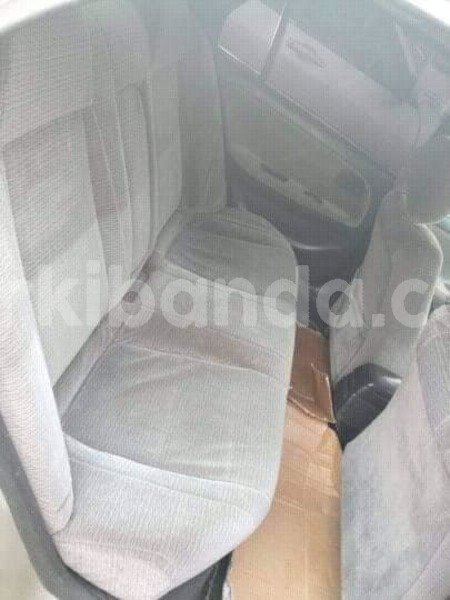 Big with watermark 53681305 412588519506326 7692352797265625088 n