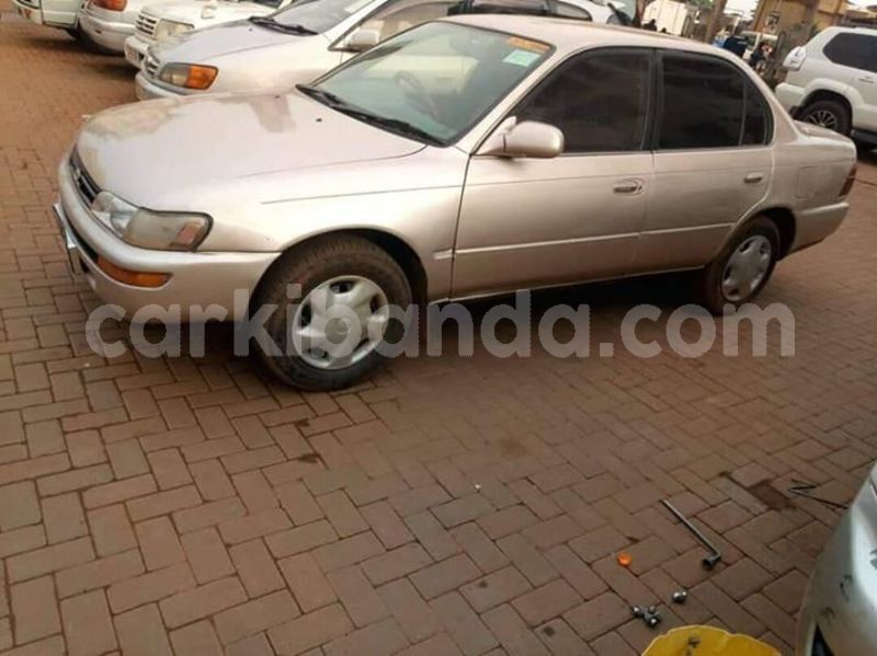 Big with watermark 53486493 412588496172995 3087536347099955200 n