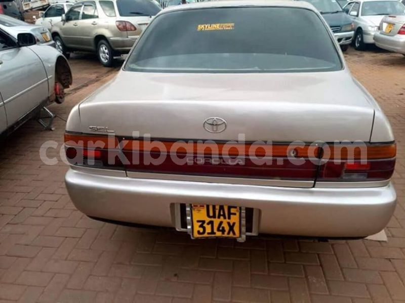 Big with watermark 53857802 412588466172998 308239963063844864 n