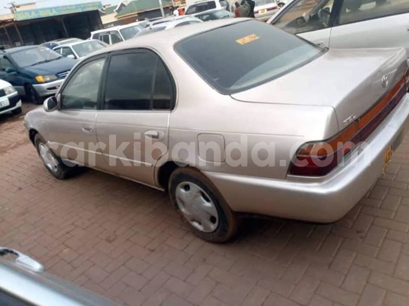 Big with watermark 54197819 412588449506333 7800511262168711168 n