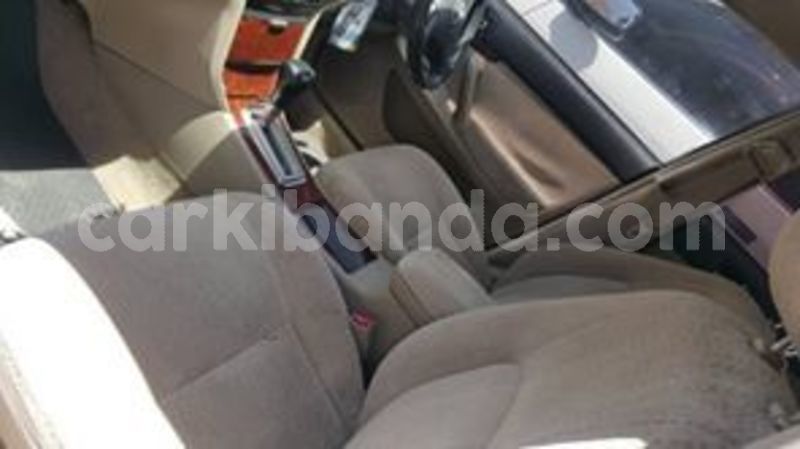 Big with watermark 53781562 412301152868396 2954739913972514816 n