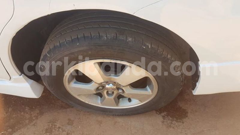 Big with watermark 54257602 411867546245090 3523656959947440128 n