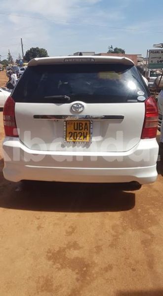 Big with watermark 53560141 411867506245094 5098030346746724352 n