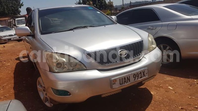 Big with watermark 53306879 411002019664976 6758822757623922688 n