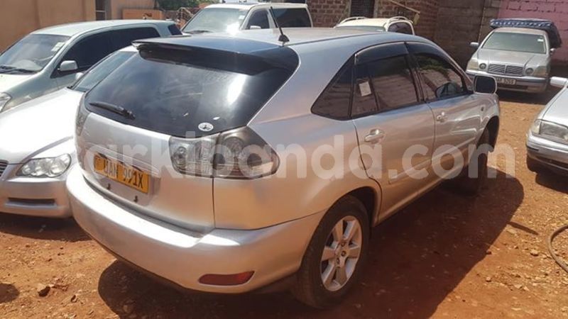 Big with watermark 52893163 411002479664930 2466607367429554176 n