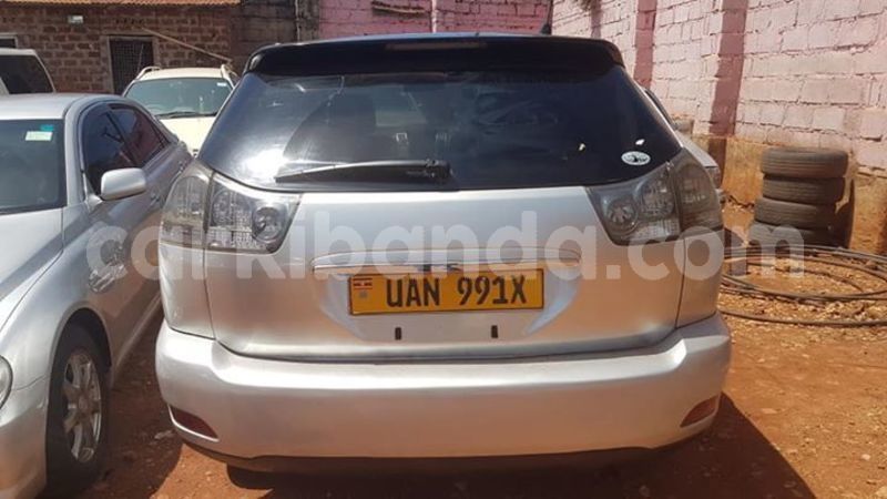 Big with watermark 53385672 411002416331603 4564429493996879872 n