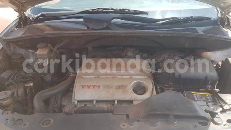 Big with watermark 53618392 411002302998281 5300627536101769216 n