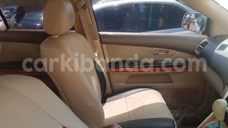 Big with watermark 53285596 411002142998297 7543978019539386368 n