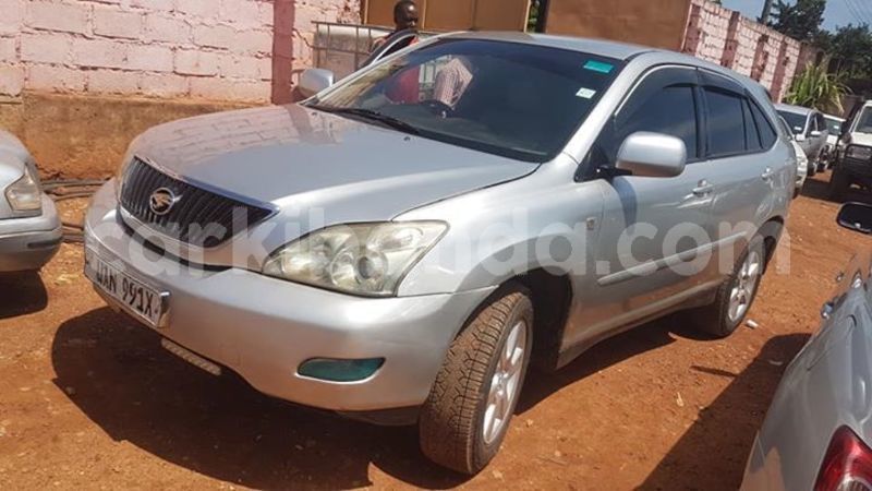 Big with watermark 53717354 411002059664972 6572518389267300352 n