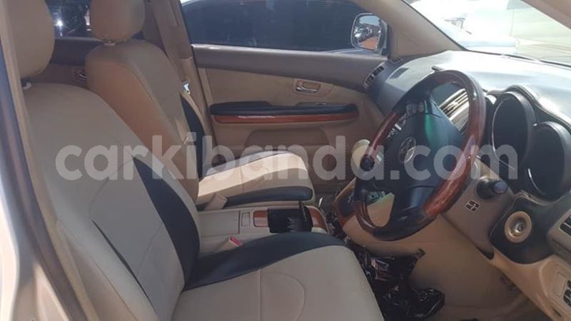 Big with watermark 54516735 411001966331648 647782236191457280 n