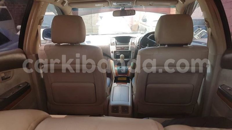 Big with watermark 54348276 411001889664989 6136274326174826496 n