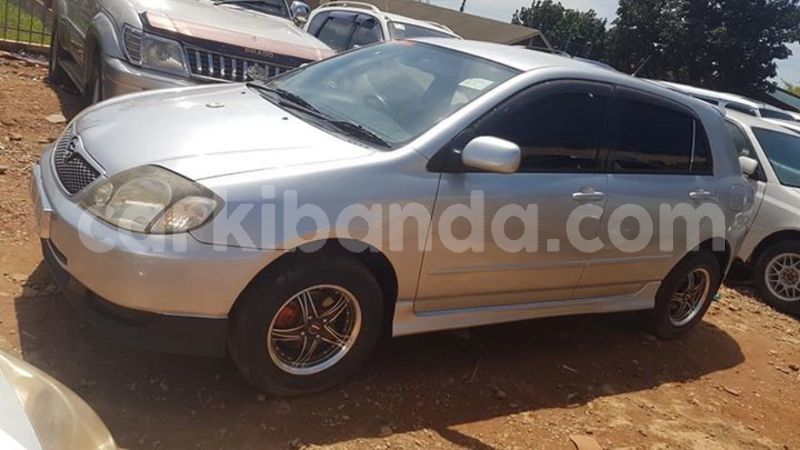 Big with watermark 53117765 410958293002682 1826604283378794496 n