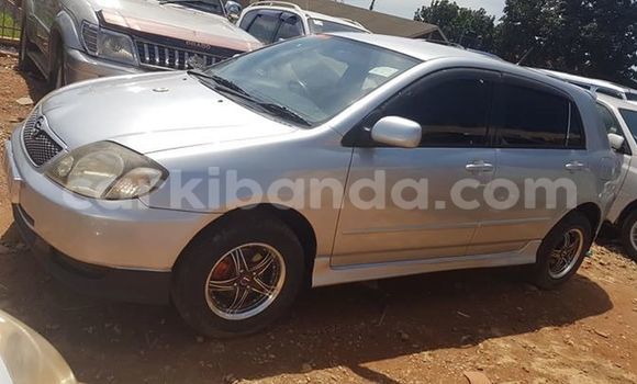 Buy Used Toyota Allex Silver Car in Kampala in Uganda Buy Used Toyota Allex Silver Car in Kampala in Uganda