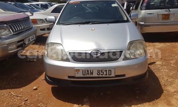 Buy Used Toyota Allex Silver Car in Kampala in Uganda Buy Used Toyota Allex Silver Car in Kampala in Uganda