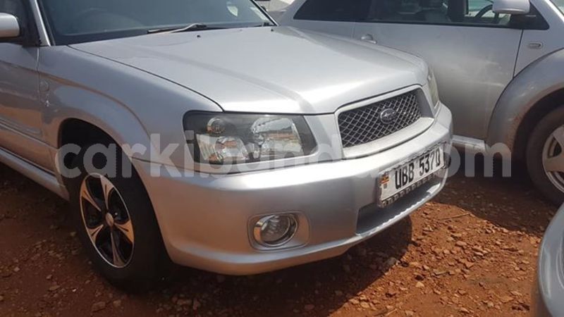 Big with watermark 53695299 409475969817581 3813344665747324928 n