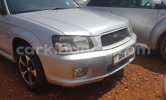 Buy Used Subaru Forester Silver Car in Kampala in Uganda Buy Used Subaru Forester Silver Car in Kampala in Uganda