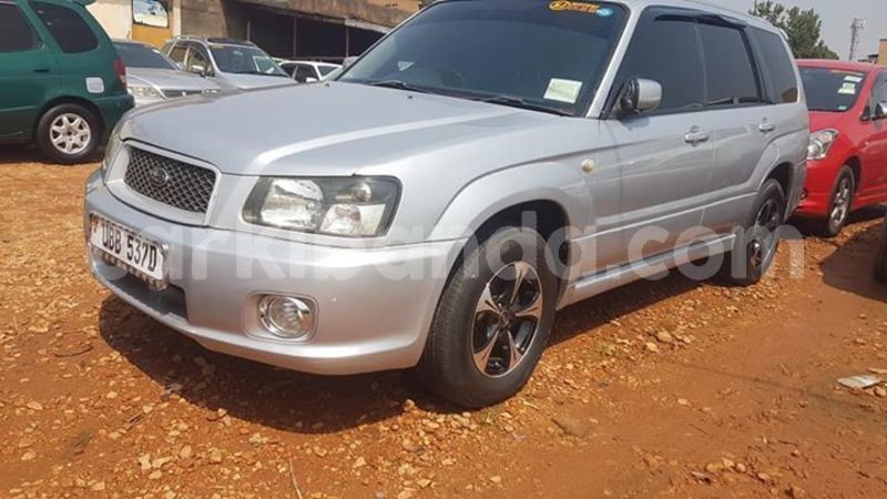 Big with watermark 53375583 409476296484215 4123653591867064320 n