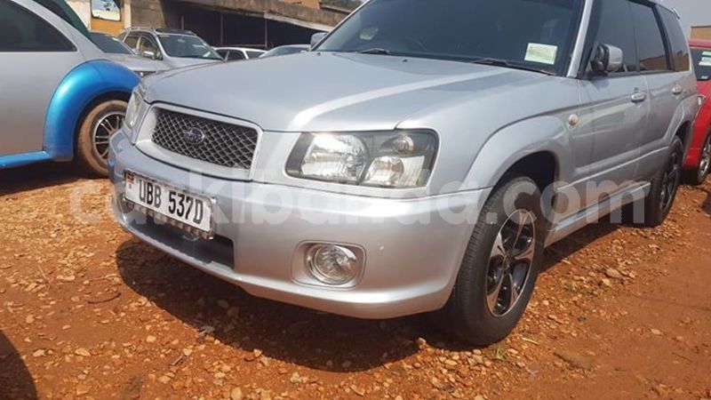 Big with watermark 53395044 409476216484223 6879840161337704448 n