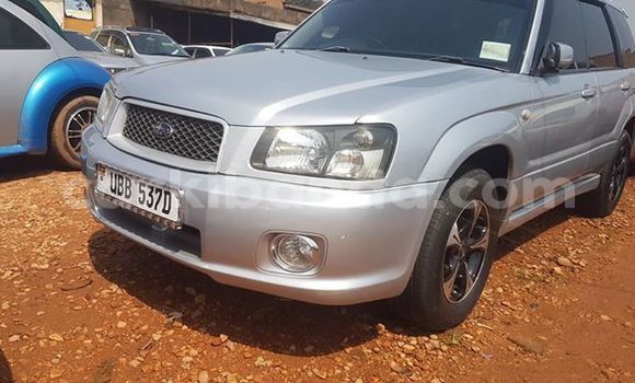 Buy Used Subaru Forester Silver Car in Kampala in Uganda Buy Used Subaru Forester Silver Car in Kampala in Uganda
