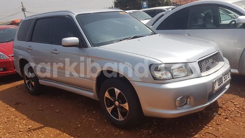 Big with watermark 53285550 409476006484244 3724922254174191616 n