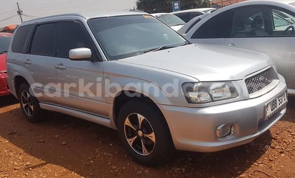 Buy Used Subaru Forester Silver Car in Kampala in Uganda Buy Used Subaru Forester Silver Car in Kampala in Uganda