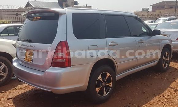 Buy Used Subaru Forester Silver Car in Kampala in Uganda Buy Used Subaru Forester Silver Car in Kampala in Uganda