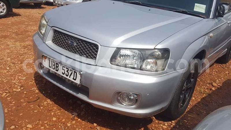 Big with watermark 53822745 409475779817600 7788711367803928576 n