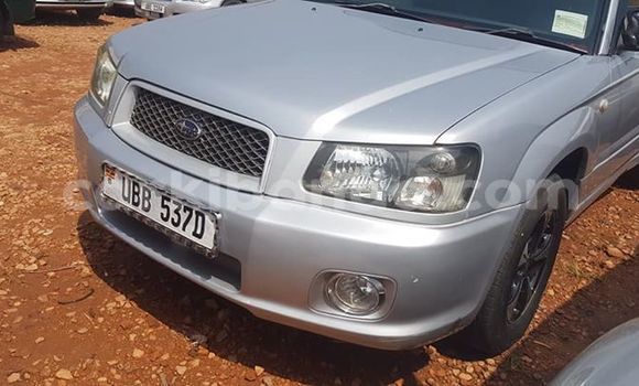 Buy Used Subaru Forester Silver Car in Kampala in Uganda Buy Used Subaru Forester Silver Car in Kampala in Uganda
