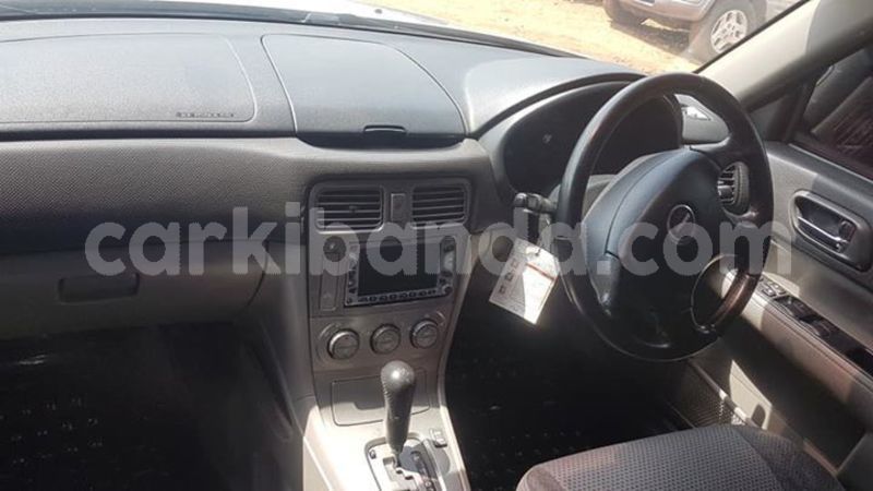 Big with watermark 53423660 409475719817606 5178046102867279872 n