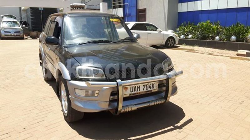 Big with watermark 53067867 408827913215720 4379836588503334912 n