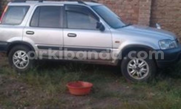 Buy Used Honda CR–V Other Car in Arua in Uganda