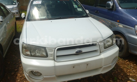 Buy New Subaru Outback White Car in Arua in Uganda