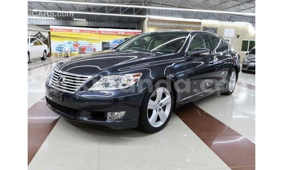 Buy Import Lexus LS Other Car in Import - Dubai in Uganda Buy Import Lexus LS Other Car in Import - Dubai in Uganda