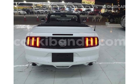 Buy Import Ford Mustang White Car in Import - Dubai in Uganda Buy Import Ford Mustang White Car in Import - Dubai in Uganda