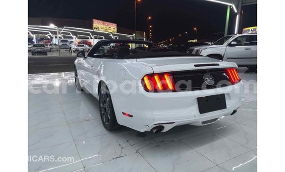 Buy Import Ford Mustang White Car in Import - Dubai in Uganda Buy Import Ford Mustang White Car in Import - Dubai in Uganda