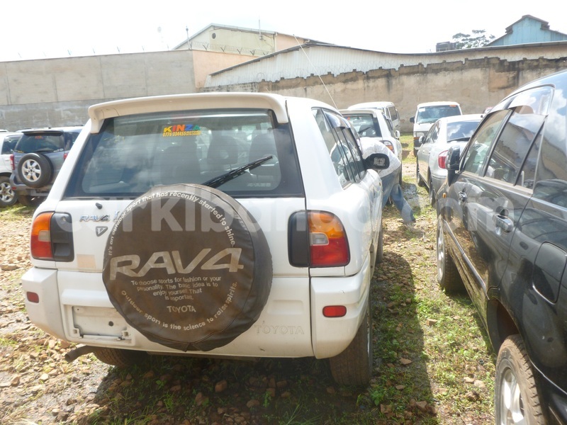 Big with watermark p1040935