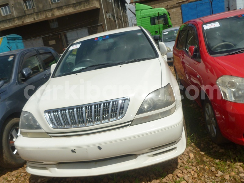 Big with watermark p1040949