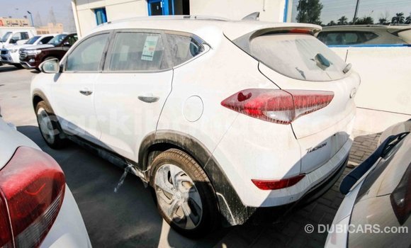 Gura Imported Hyundai Tucson White Imodoka i Import - Dubai mu Uganda Gura Imported Hyundai Tucson White Imodoka i Import - Dubai mu Uganda