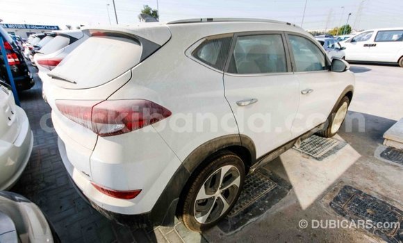Gura Imported Hyundai Tucson White Imodoka i Import - Dubai mu Uganda Gura Imported Hyundai Tucson White Imodoka i Import - Dubai mu Uganda