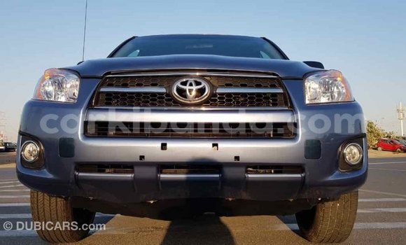 Buy Import Toyota RAV4 Blue Car in Import - Dubai in Uganda Buy Import Toyota RAV4 Blue Car in Import - Dubai in Uganda