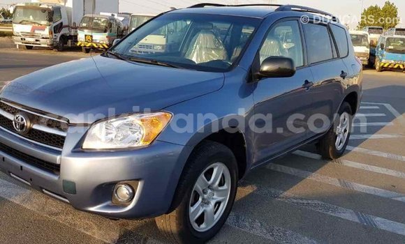 Buy Import Toyota RAV4 Blue Car in Import - Dubai in Uganda Buy Import Toyota RAV4 Blue Car in Import - Dubai in Uganda