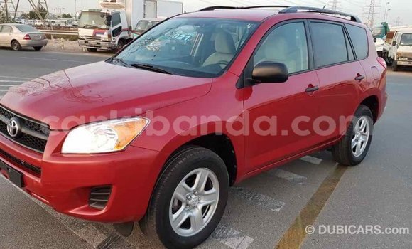 Nunua Imported Toyota RAV4 Nyekundu Gari ndani ya Import - Dubai nchini Uganda Nunua Imported Toyota RAV4 Nyekundu Gari ndani ya Import - Dubai nchini Uganda