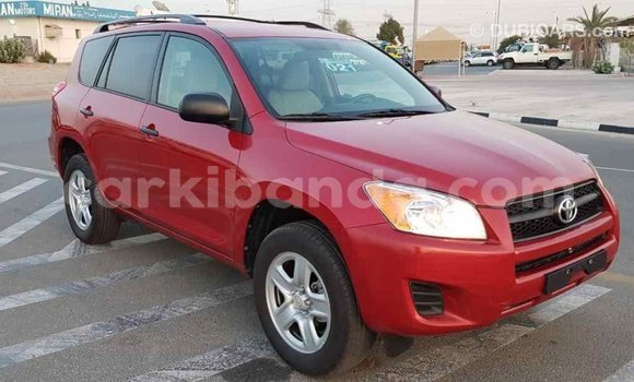 Nunua Imported Toyota RAV4 Nyekundu Gari ndani ya Import - Dubai nchini Uganda Nunua Imported Toyota RAV4 Nyekundu Gari ndani ya Import - Dubai nchini Uganda